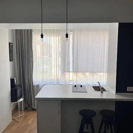 Stilingi Saulio Skulpturos Apartamentai Апартаменты *