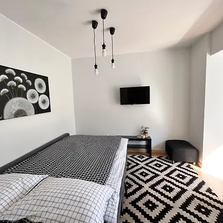 Апартаменты Stilingi Saulio Skulpturos Apartamentai Друскининкай