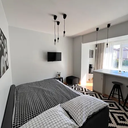 Stilingi Saulio Skulpturos Apartamentai Druskieniki