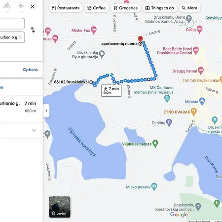 Stilingi Saulio Skulpturos Apartamentai Апартаменты Друскининкай