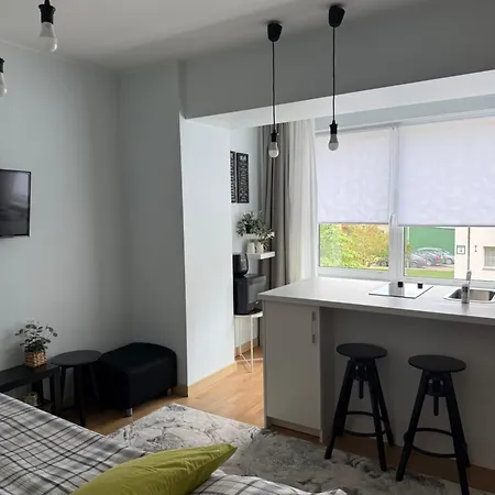 Butas Stilingi Saulio Skulpturos Apartamentai Druskininkai