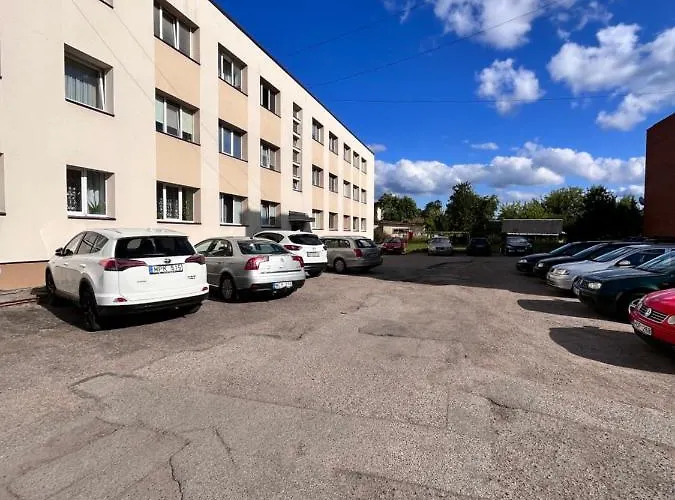 Stilingi Saulio Skulpturos Apartamentai * Druskieniki