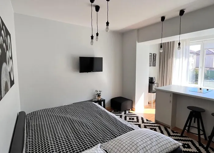 Stilingi Saulio Skulpturos Apartamentai Druskieniki