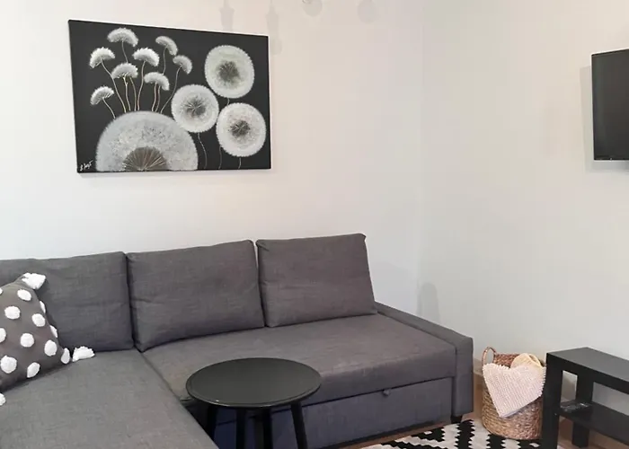 Apartament Stilingi Saulio Skulpturos Apartamentai