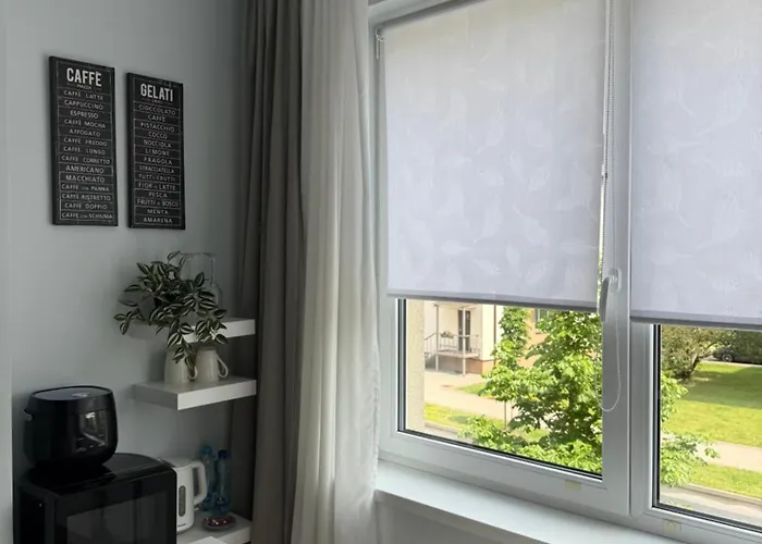 Stilingi Saulio Skulpturos Apartamentai Apartament